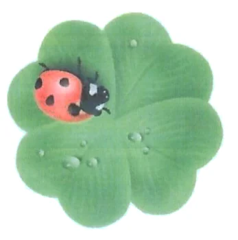 La Coccinella